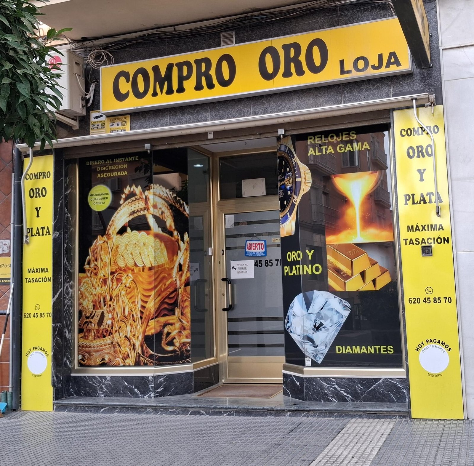 Local de Loja, Granada